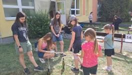 IMG-20250624-WA0067