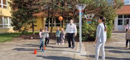 basket03