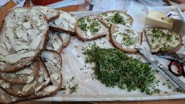 IMG-20260401-WA0002