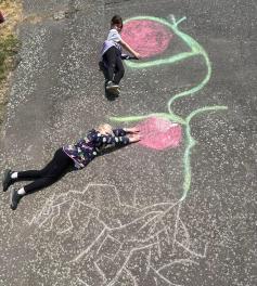 IMG-20260506-WA0008