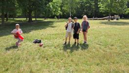 IMG-20260617-WA0007