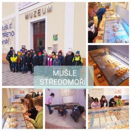 20230207lVCmuslestredomori