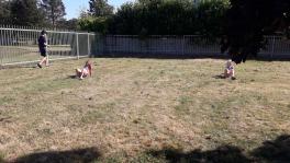 IMG-20230626-WA0006