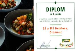 diplom-20192020