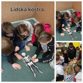 25012024VCLidska-kostra