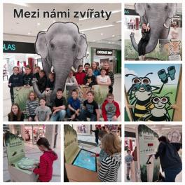 06022024VCmezinamizviraty